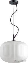 Подвесная люстра Odeon Light Roofi 4754/1 цена