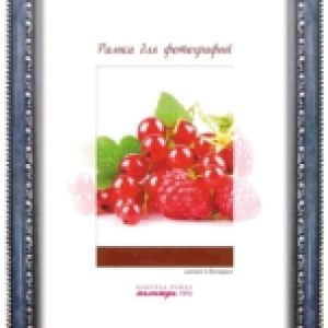 Купить Рамка 21век