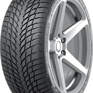 Автомобильные шины Nokian Tyres WR Snowproof P 245/40R20 99W цена