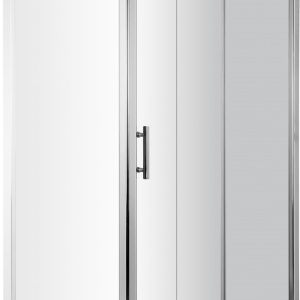 Душевая дверь Deante Cynia 120 KTC 012P цена