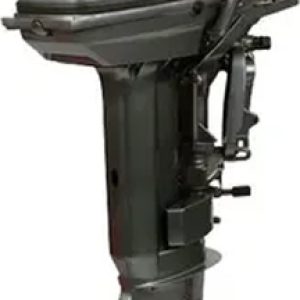 Лодочный мотор Allfa CG T30S цена