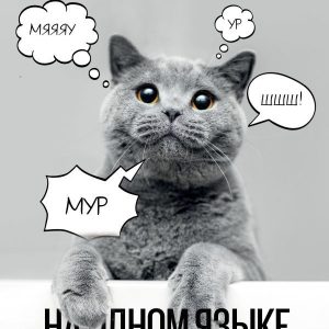 Книга издательства АСТ. На одном языке с кошкой цена