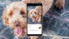 Google Lens получил функцию генерации ответов на основе ИИ для визуального поиска