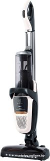 Пылесос Electrolux PF91-ALRGY цена