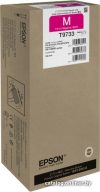 Чернила Epson C13T973300 цена