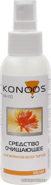 Очиститель Konoos KW-100 цена