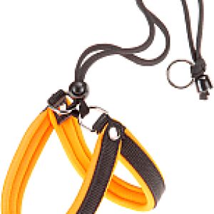 Шлея Agila Fluo 1 21век