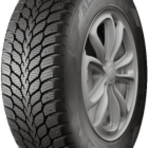 Зимняя шина