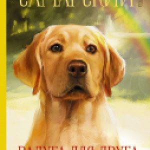 Купить Книга 21век