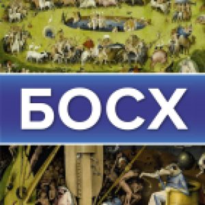 Книга Босх 21век