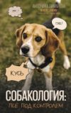 Купить Книга 21век