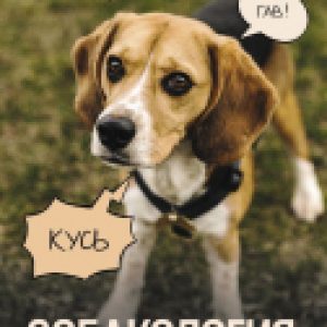 Купить Книга 21век