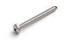 Шуруп С полукруглой головкой PH 5.5x50 DIN7981 / B008219 21век