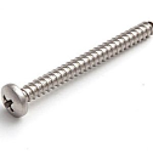 Шуруп С полукруглой головкой PH 5.5x50 DIN7981 / B008219 21век