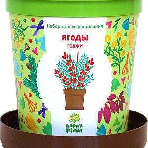 Набор для опытов Happy plant Ягоды Годжи hpn-18 цена