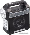 Радиоприемник Ritmix RPR-444 цена