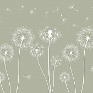 Фотообои листовые