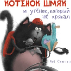 Купить Книга 21век