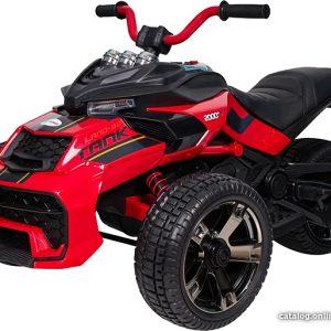 Электротрицикл Farfello Трицикл SL631 (красный) цена