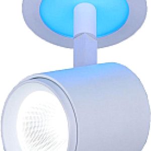 Купить Спот 21век