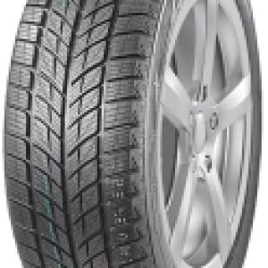 Зимняя шина DW09 315/35R20 106T 21век