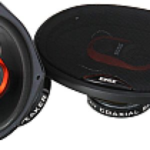 Коаксиальная АС ED229-E8 21век