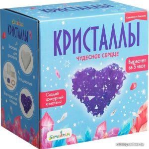 Набор для опытов Bumbaram Кристаллы. Чудесное сердце фиолетовое A124 цена