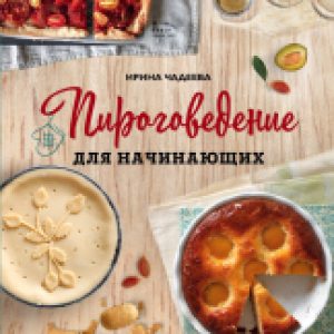 Книга Пироговедение для начинающих 21век