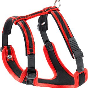 Шлея Ergocomfort P 21век