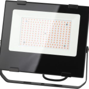 Прожектор FITO-100W-RB-LED / Б0046369 21век