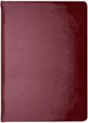 Ежедневник Gloss / ENK_11124 21век