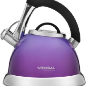 Чайник со свистком Jeune Myrtille / VS3004 21век