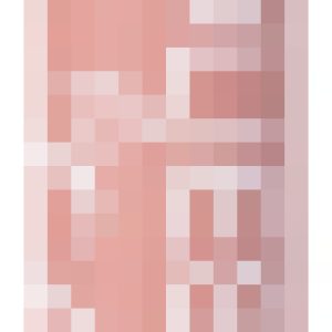 Карандаш для губ Jolies Levres тон 301 21век