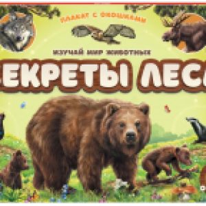 Развивающий плакат С окошками. Секреты леса 21век