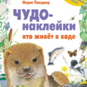 Купить Развивающая книга 21век