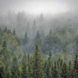 Картина на стекле
