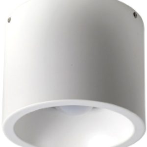 Точечный светильник Reflector 1993-1C 21век