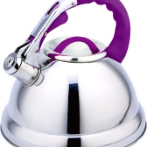 Чайник со свистком RS-7629-35 21век