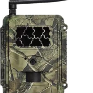 Фотоловушка