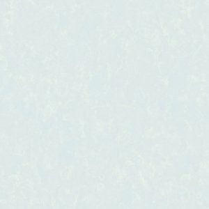 Виниловые обои Seasons 60597-06 21век