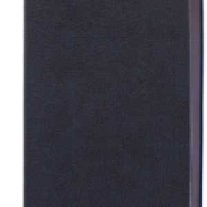 Ежедневник Stylish / 126223 (синий) 21век