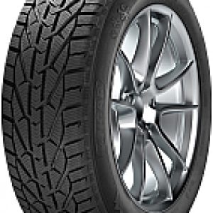 Купить Зимняя шина 21век