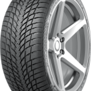 Зимняя шина WR Snowproof P 245/45R19 102V 21век