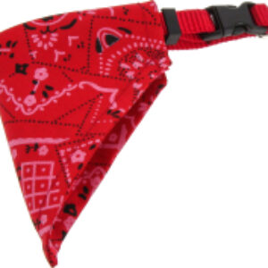 Купить Ошейник 21век