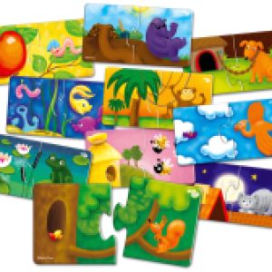 Развивающий игровой набор Кто где живет? / 02512 21век