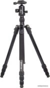 Трипод Raylab Pro 75 (с головой) цена