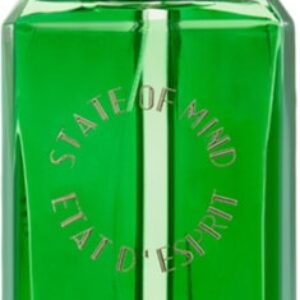 Парфюмерная вода State of Mind Sense Of Humor EdP (100 мл) цена