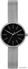 Наручные часы Skagen SKW2596 цена