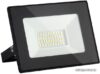 Уличный прожектор Elektrostandard Elementary 025 FL LED 30W 4200K IP65 цена