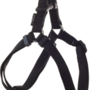 Купить Шлея 21век